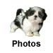 Photos