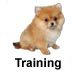 Training